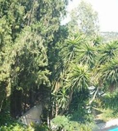 St. Thomas Bed and Breakfast