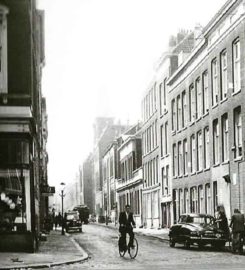De Witte Aap