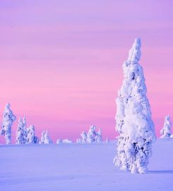 Kakslauttanen Arctic Resort East Village