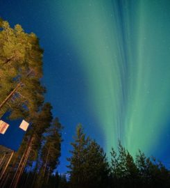 Treehotel