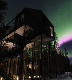 Treehotel