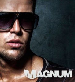 Magnum Sauna