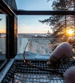 Treehotel