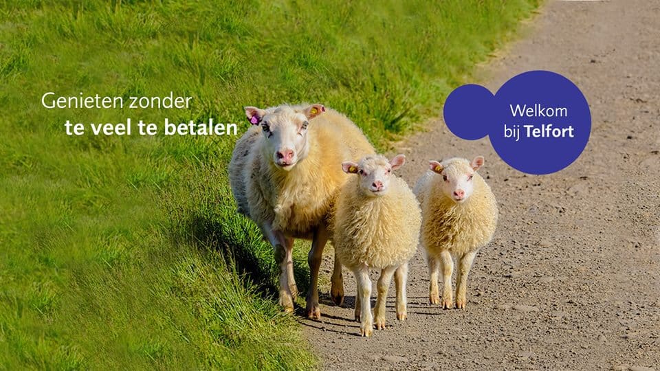 Telfort Winkel Den Haag Spuistraat
