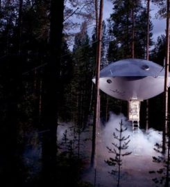 Treehotel