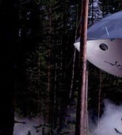 Treehotel