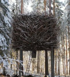 Treehotel