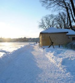 Långa raden