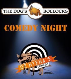 The Dog’s Bollocks
