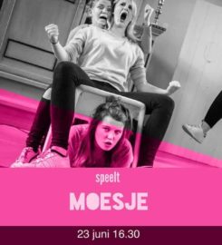 Theater De Steeg