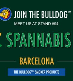 The Bulldog Breda