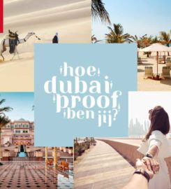 TIX ✈ Flights – Hotels – Car Rental