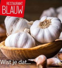 Restaurant Blauw Utrecht