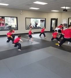 Tiger Rock Martial Arts Scholars