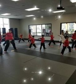 Tiger Rock Martial Arts Scholars