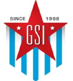 Government Sales Inc