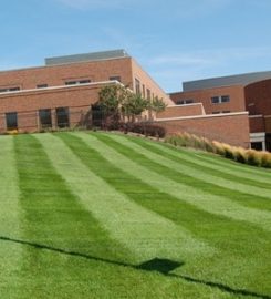 Elite Landscape Group