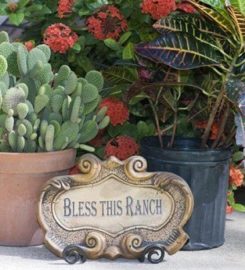 Texan Guest Ranch