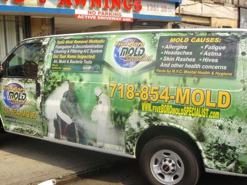 Five Boro Mold Specialist