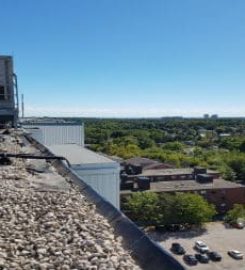 GTA Ontario Flat Roofers