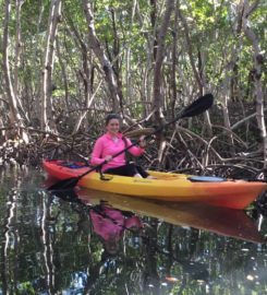Paradise Adventures Sarasota