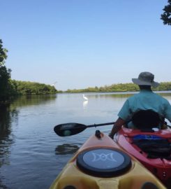 Paradise Adventures Sarasota