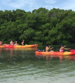 Paradise Adventures Sarasota