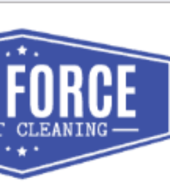 Pro Force Carpet Cleaning