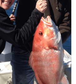 Wave Cutter Charters