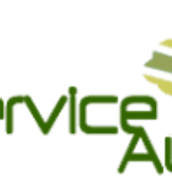 Tree Service Austin