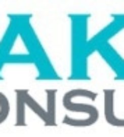 Taktik Consulting