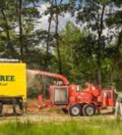 Tree Services Atlanta