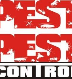 Pest Control Boynton Beach