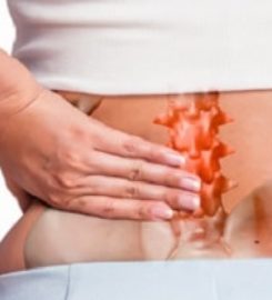 Diamond Creek Chiropractic