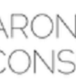 Aronsky Consulting