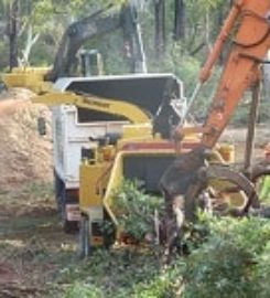 Winston-Salem Tree Service