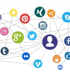 Xweb Consulting