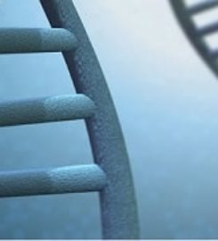 Test Me DNA
