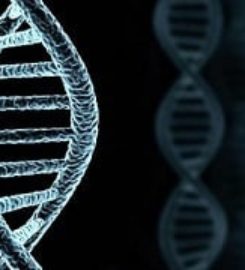 Test Me DNA