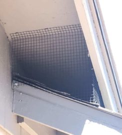 Phoenix Pigeon Control Company
