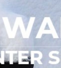 Remote Start Fairfax