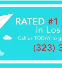 Welpi SEO Expert Los Angeles