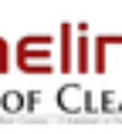 Finelines C.P.C. Roof Cleaning