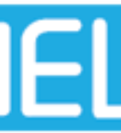 Welpi SEO Expert Los Angeles