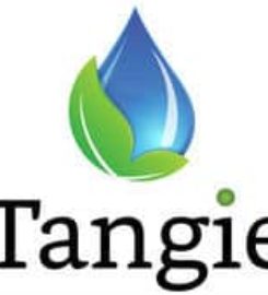 Tangie