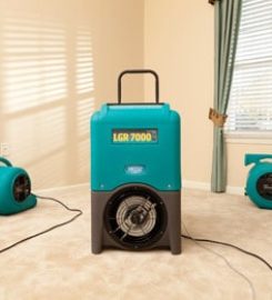 ServiceMaster Cleaning and Restoration Pro.