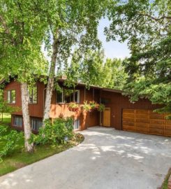 Wolf Real Estate Professionals