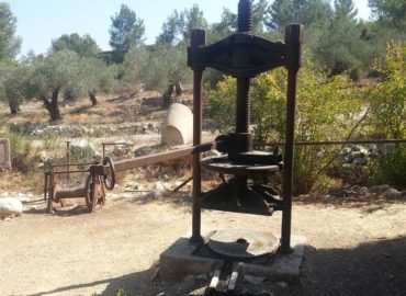 Holy Land Private Tours