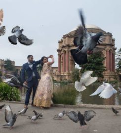 Peter Nguyen Photography