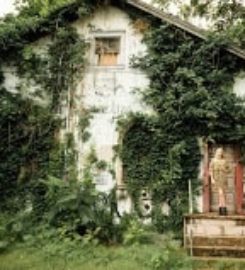 Moira Photography